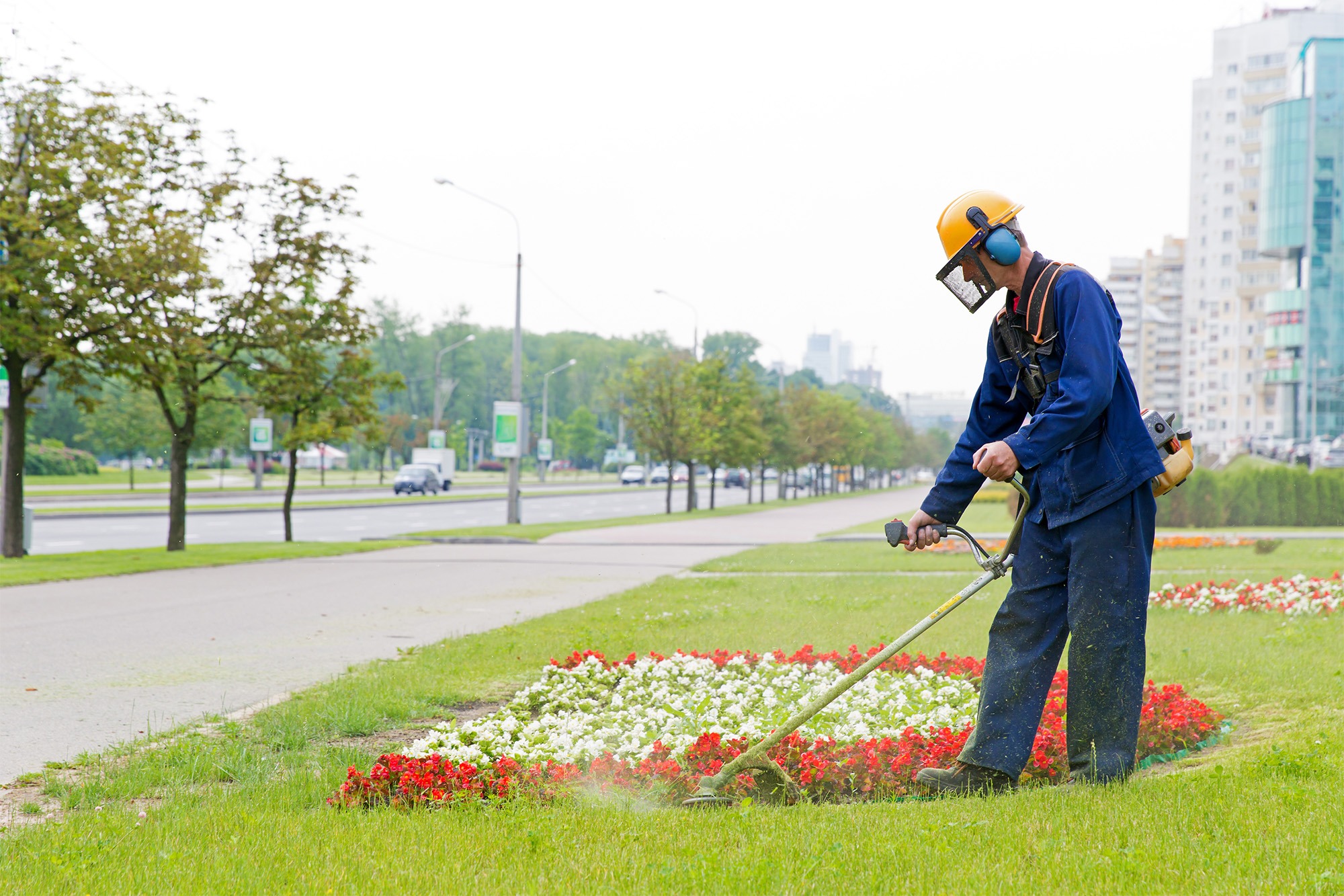 Landscaper trimming grass around vibrant flower beds, enhancing urban greenery near a busy street. Worker's safety gear highlighted.